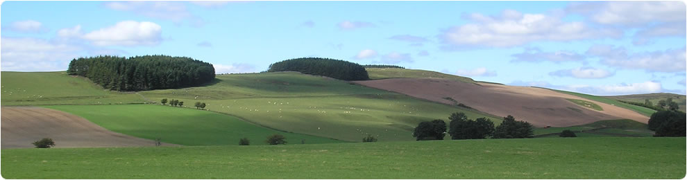 Hills